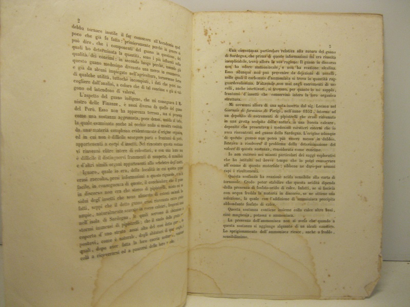 Memoria del guano indigeno di Sardegna